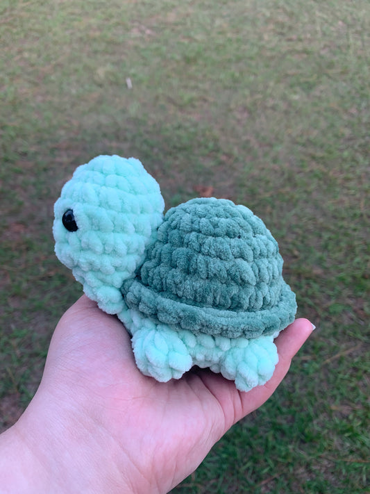 Green Land Turtle